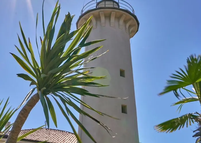 Lovely In A Pool Paradise