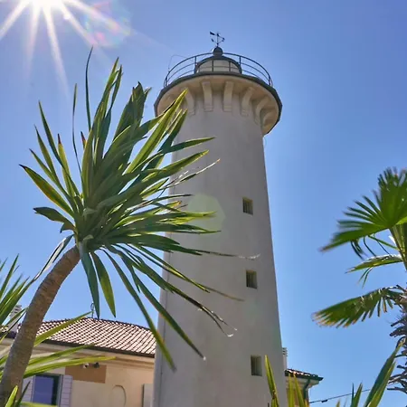 Lovely In A Pool Paradise